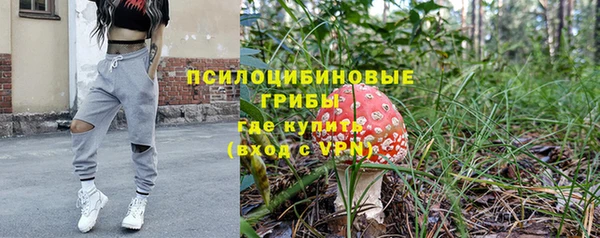 mix Белокуриха