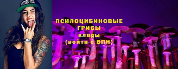 ALPHA PVP Богородск