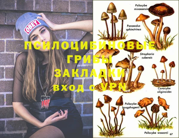 2c-b Богданович