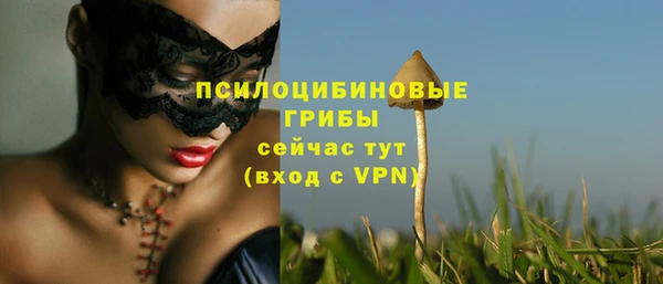 дживик Беломорск