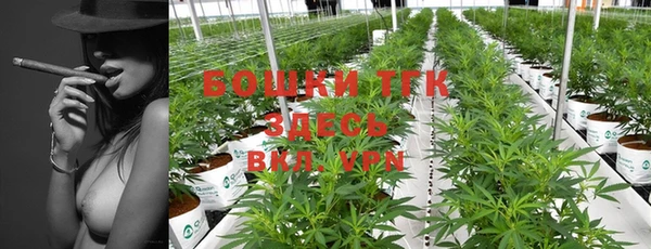 mix Белокуриха