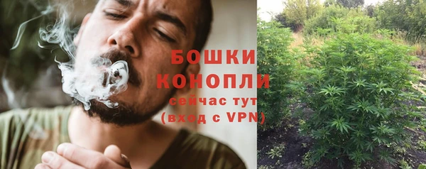 дживик Беломорск