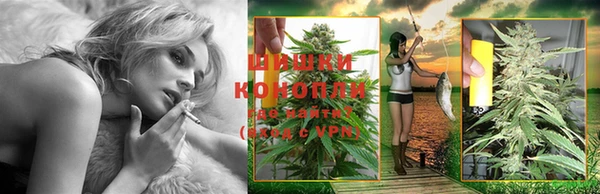 дживик Беломорск