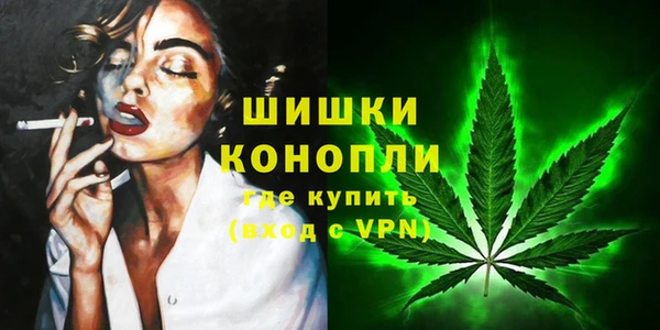 молекула духа Белоозёрский