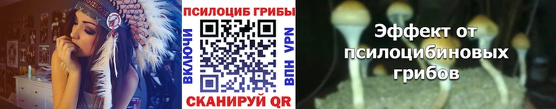 как найти закладки  Сердобск  ссылка на мегу как зайти  Псилоцибиновые грибы Cubensis 