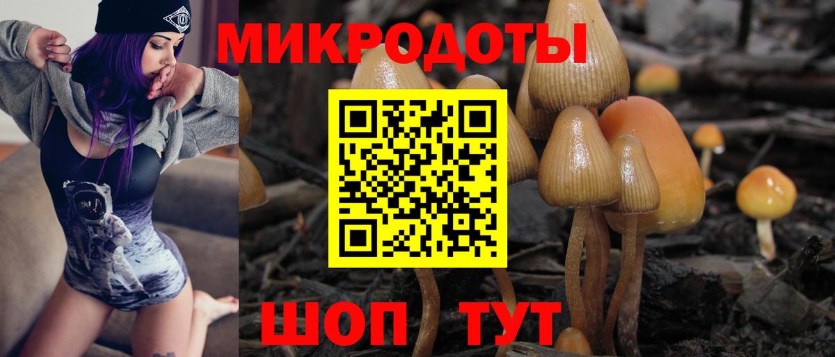 Галлюциногенные грибы мицелий  Галлюциногенные грибы ЛСД  где купить наркотик  Сердобск  Вход с VPN 